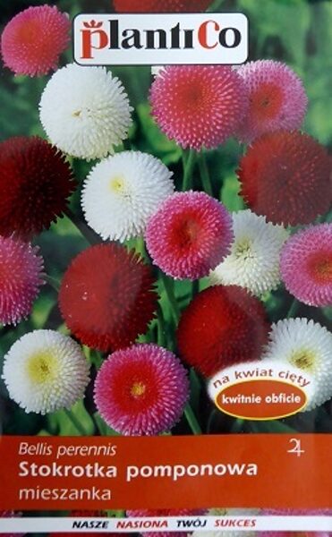 Pomponziedu mārpuķīte Stokrotka Pomponette MIX 0.1 g PlantiCo