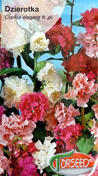 Klarkijas pildītās MIX 1 g Torseed