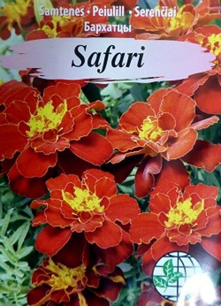 Samtenes zemās SAFARI sarkanas 30 gab Agrimatco