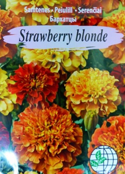 Samtenes Strawberry blonde 30 gab Agrimatco