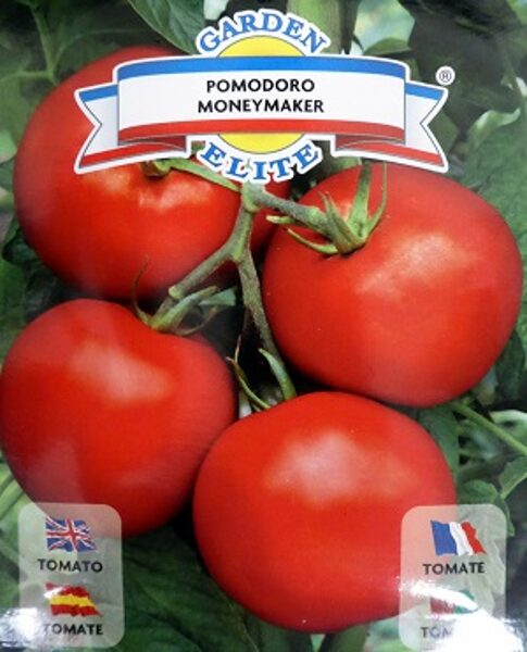 Tomāti Moneymaker  1.5 g Galassi Sementi