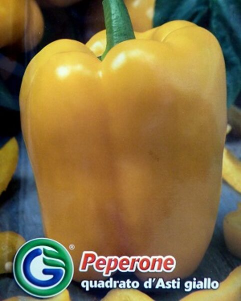 Paprika saldā Quadrato D'Asti Giallo 1 g Galassi Sementi A.P.