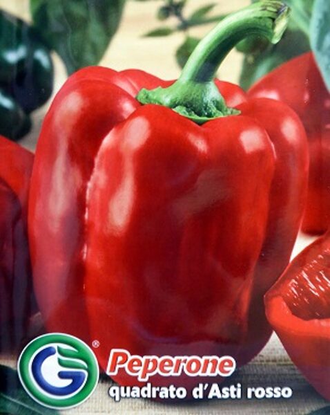 Paprika saldā Quadrato D'Asti Rosso 1.5 g Galassi Sementi ( A.P.)