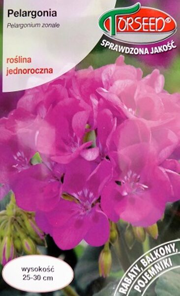 Zonālā pelargonija F1 violeta 10 gab Torseed