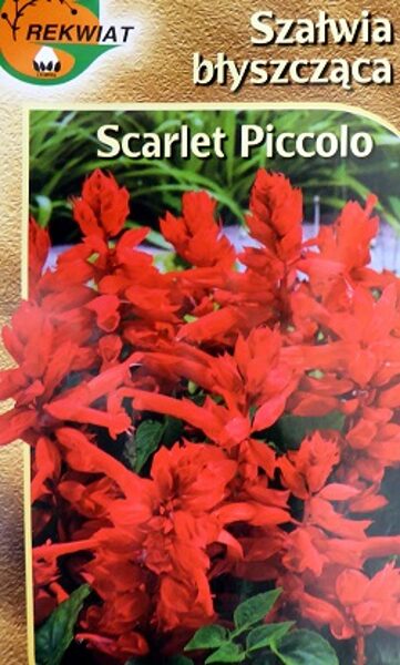 Spilgtā salvija sarkana Scarlet Piccolo 0.5 g Rekwiat A.P.