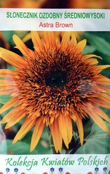 Saulespuķes pildītas ASTRA BROWN 1 g W.Legutko
