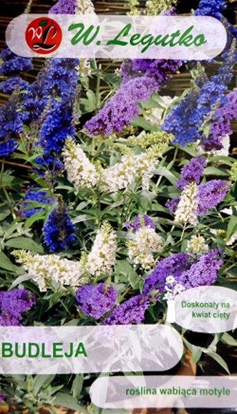 Dāvida budleja MIX 0.01 g W.Legutko