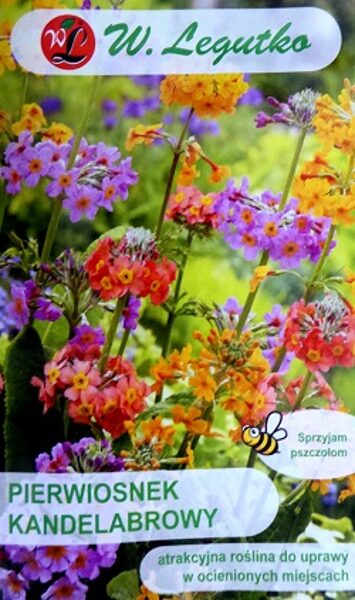 Hibrīdā prīmula Candelabra 0.02 g W.Legutko