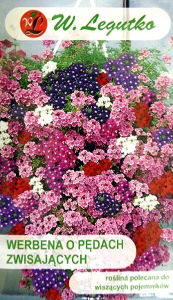 Nokarenā verbēna MIX 0.3 g W.Legutko