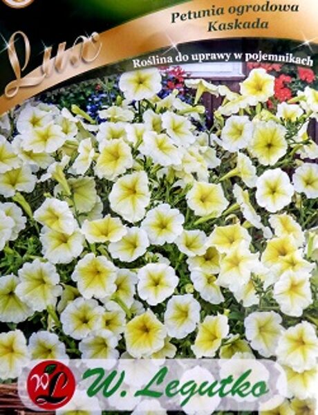 Petūnijas nokarenās Kaskada dzeltenas 0.02 W.Legutko