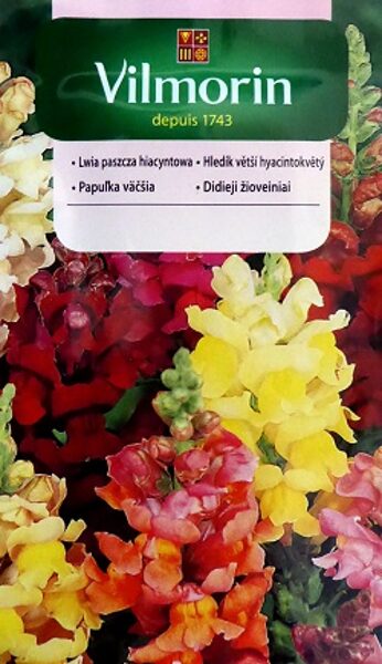 Vidējās lauvmutītes Lwia paszcza hiacyntowa  MIX 1 g Vilmorin