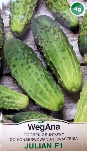 Gurķi JULIAN F1  4 g WegAna