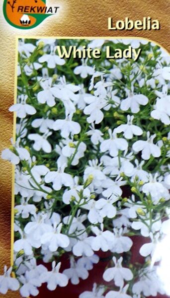 Zemā lobēlija White Lady 0.1 g Rekwiat