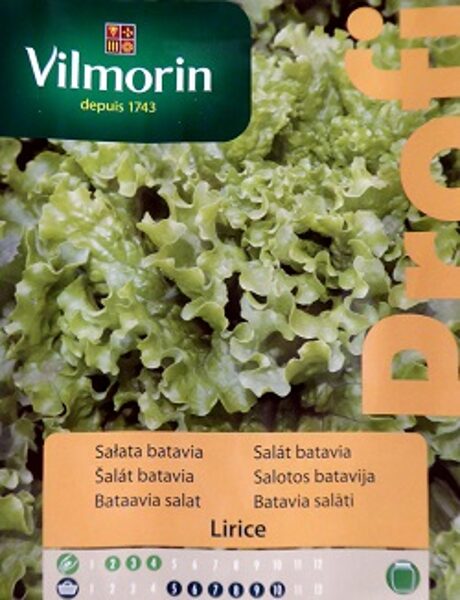 Salāti lapu Lirice 500 mg  Vilmorin