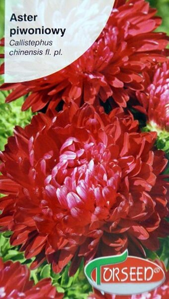 Asteres ķīnas peoniju ķiršu sarkanas 0.5 g Torseed