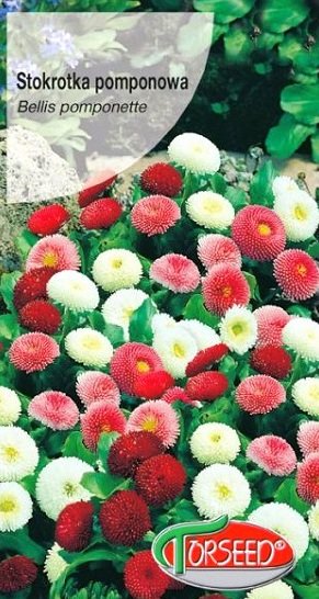 Pomponziedu mārpuķīte MIX 0.1 g Torseed