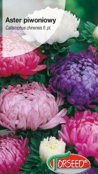 Asteres ķīnas peoniju MIX 1 g Torseed