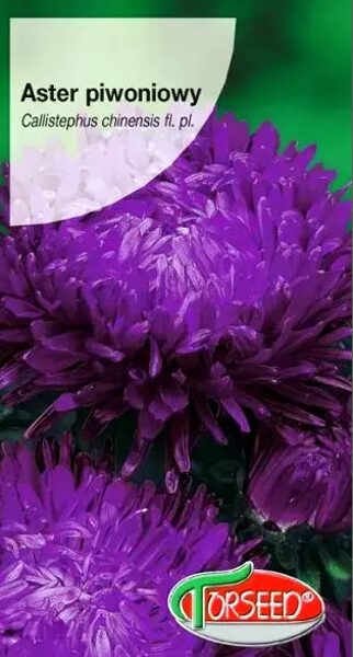 Asteres ķīnas peoniju violetas 0.5 g Torseed