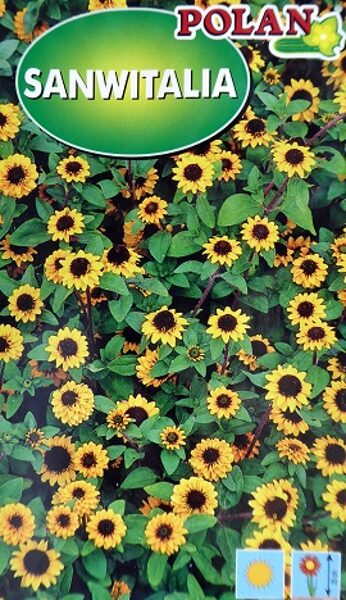 Sanvitālija pazviļā 0.3 g Polan 