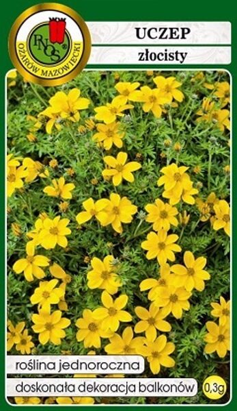 Sunītis ferullapu 300 mg PNOS