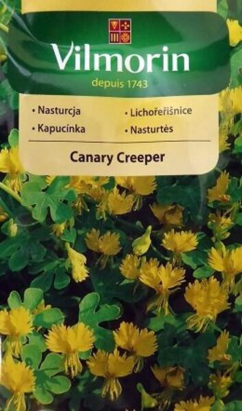 Spārnainā tunbergija (krese) Canary Creeper 2 g Vimorin  A.P.