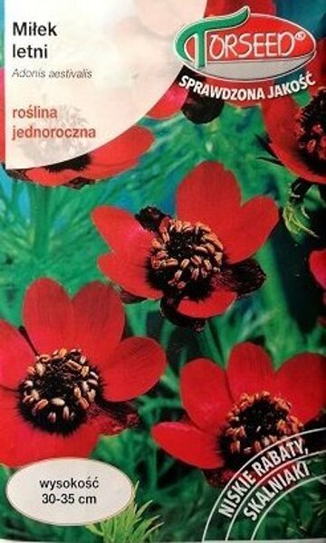 Vasaras adoniss 1 g Torseed