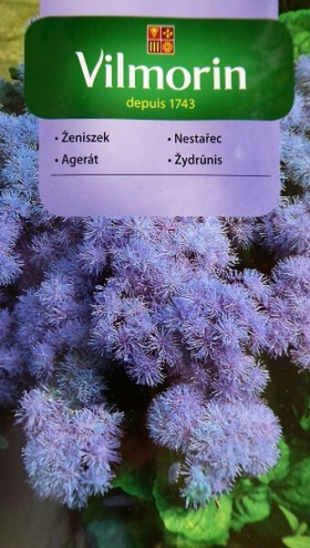 Meksikas agerāts LAWENDOWY  500 mg Vilmorin