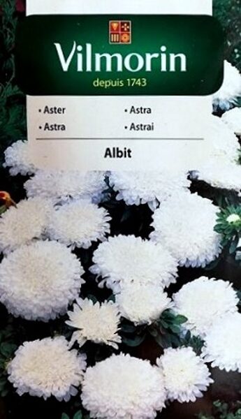 Asteres ķīnas punduru Albit 500 mg Vilmorin