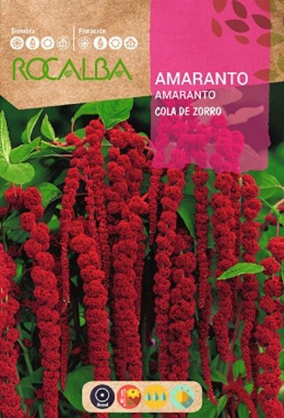 Astainais amarants COLA DE ZORRO 10 g ROCALBA