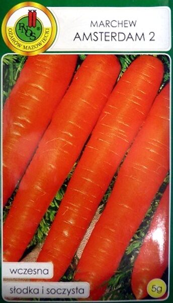 Burkāni Amsterdam 2  5 g PNOS