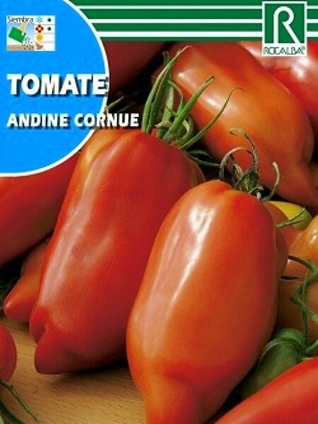 Tomāti Andine cornue 0.1 g ROCALBA
