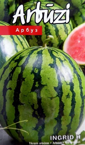 Arbūzi INGRID H 5 gab Kurzemes Sēklas (Bejo Zaden)
