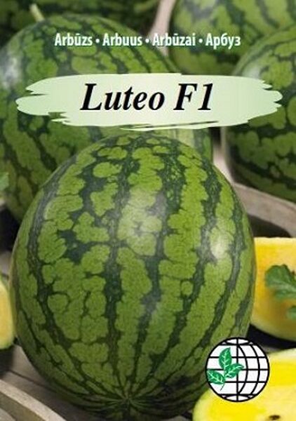 Arbūzi Luteo F1 5 gab Agrimatco