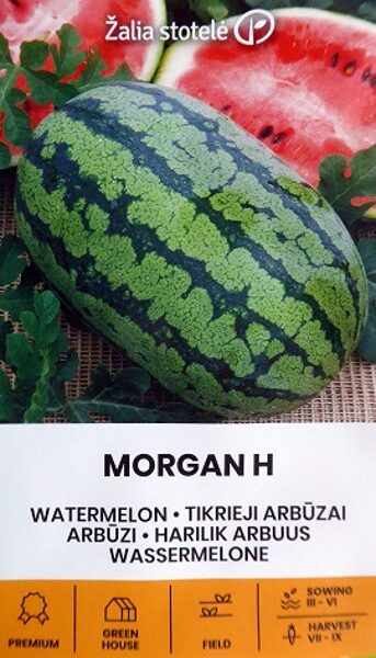 Arbūzi MORGAN H 5 gab Žalia stotelė