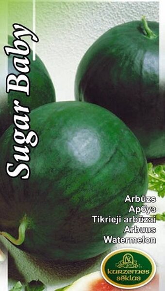 Arbūzs Sugar Baby 1 g Kurzemes Sēklas