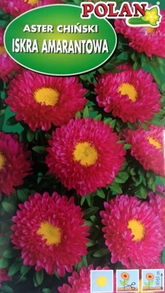 Asteres ISKRA AMARANTOWA 1 g Polan