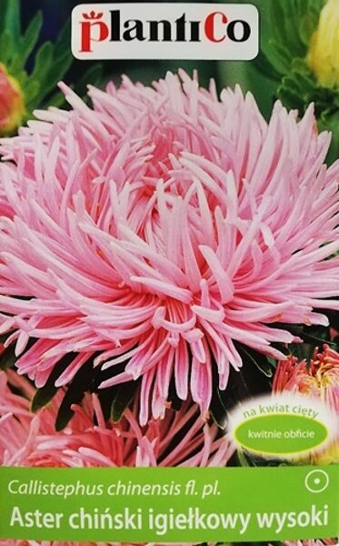 Asteres ķīnas adatainās JUBILEUSZ rozā 1 g PlantiCo