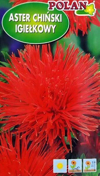 Asteres ķīnas adatainās sarkanas 1 g Polan