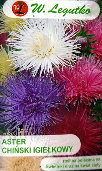 Asteres ķīnas adatainās MIX 1.25 g W.Legutko