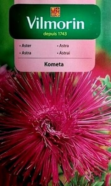 Asteres ķīnas adatainās KOMETA 500 mg Vilmorin
