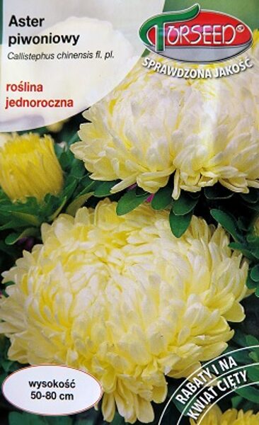 Asteres ķīnas peoniju Kremowy 0.5 g Torseed