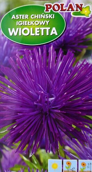 Asteres ķīnas adatainās WIOLETTA 1 g Polan