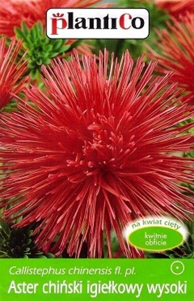 Asteres ķīnas adatainās sarkanas 1 g PlantiCo