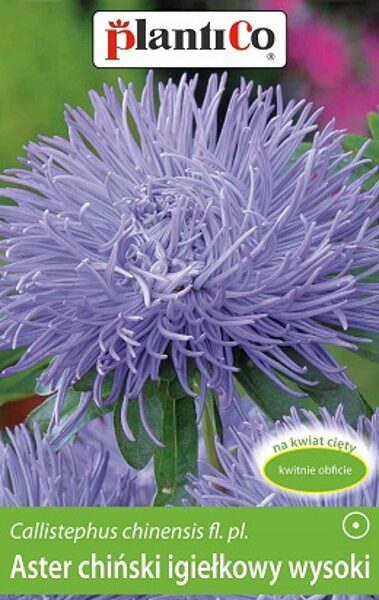 Asteres ķīnas adatainās gaiši zilas / niebieski 1 g PlantiCo A.P.