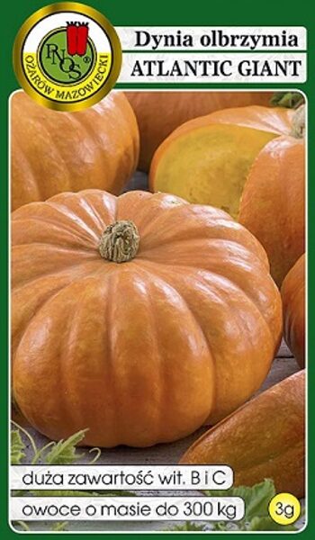 Ķirbji ATLANTIC GIANT 3 g PNOS