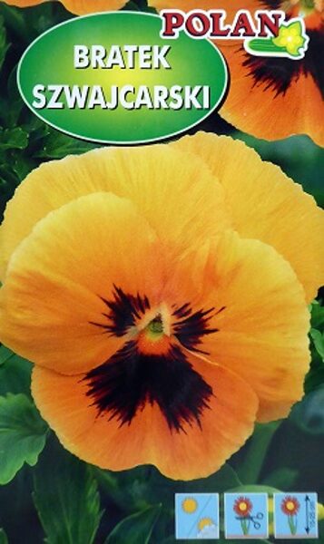 Atraitnītes lielziedu SZWAJCARSKI oranžas ar violetu 400 mg Polan A.P.