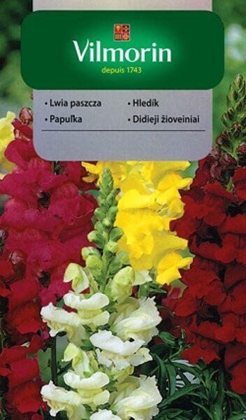 Augstās lauvmutītes MIX 1 g Vilmorin