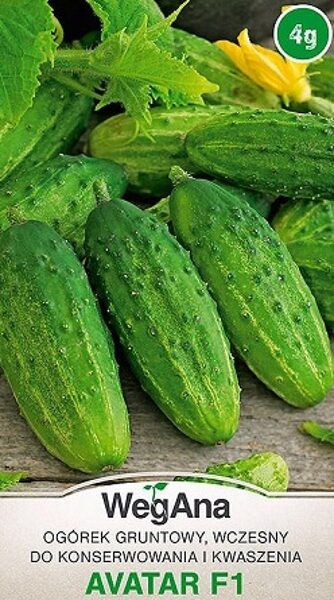 Gurķi konservēšanai AVATAR F1 4 g WegAna