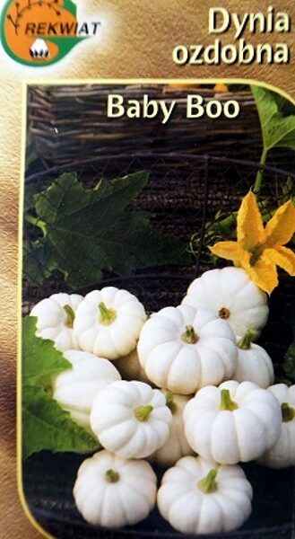 Ķirbji dekoratīvie BABY BOO 1.5 g Rekwiat