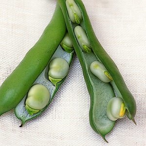 Pupas dārza BACHUS 5 kg PlantiCo